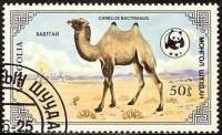 (1985-027) Марка Монголия "Бактриан"    Двугорбый верблюд III O